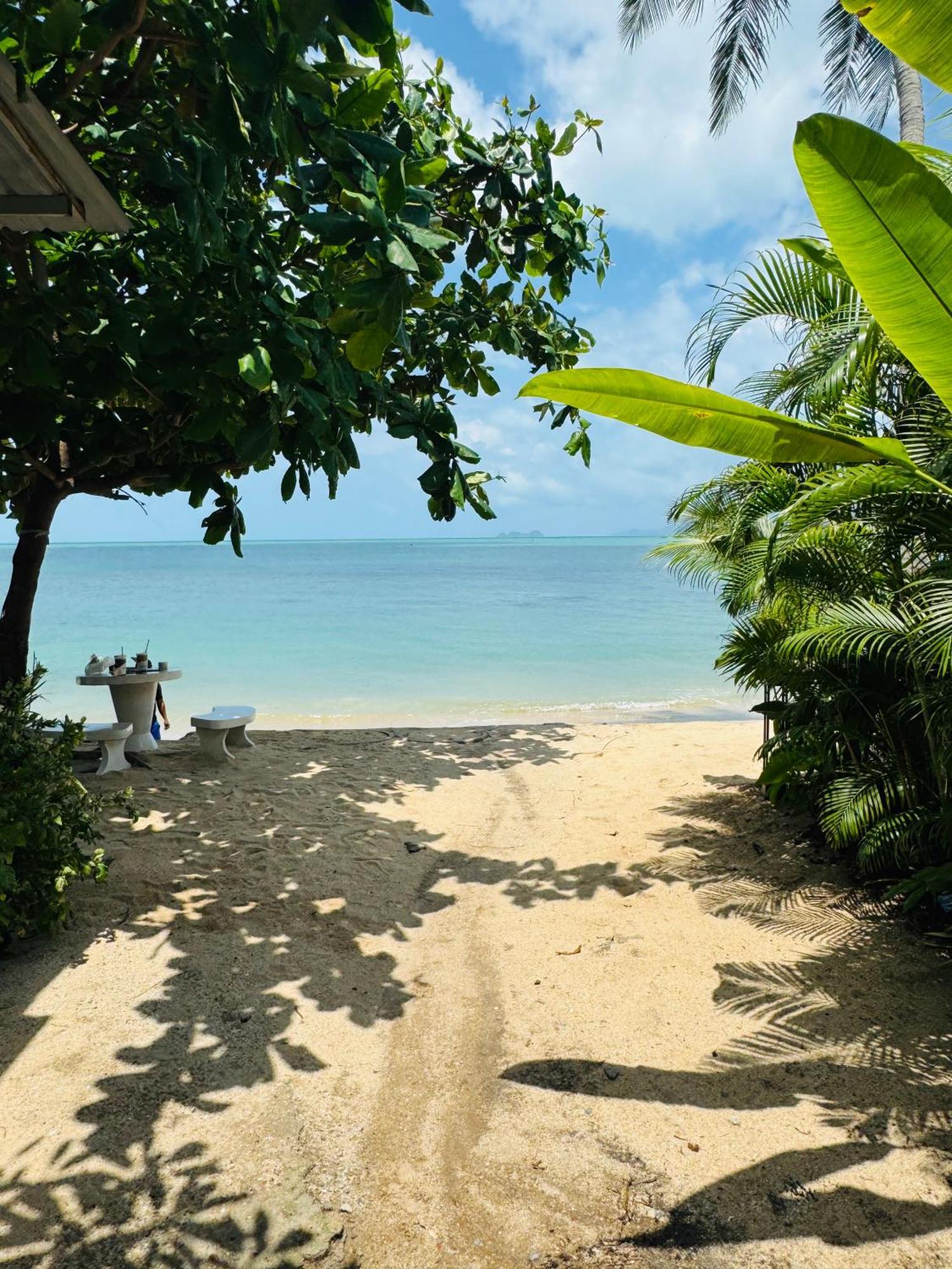 Beachfront With Sunset